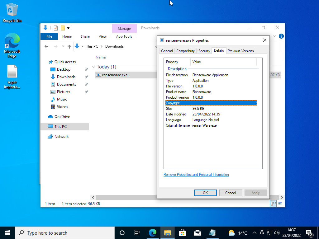 Malicious Binary Downloaded
